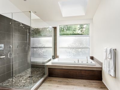 Top Tub To Shower Conversion Companies in Elk Grove Village, IL